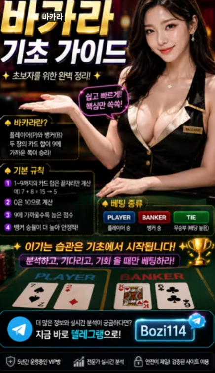 바카라 기초 가이드